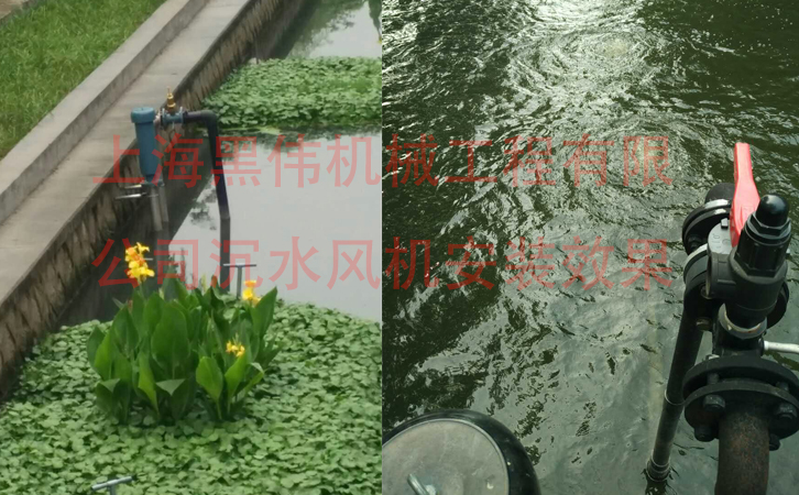 沉水合欢app视频在施工现场如何安装？