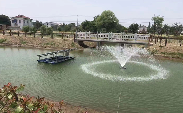 沉水式罗茨合欢app视频：助力提升河湖水质的新利器